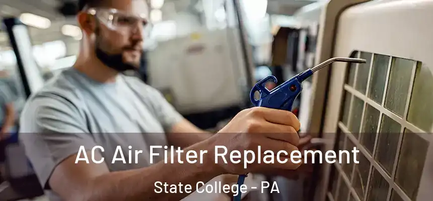  AC Air Filter Replacement State College - PA