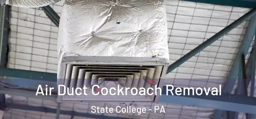  Air Duct Cockroach Removal State College - PA