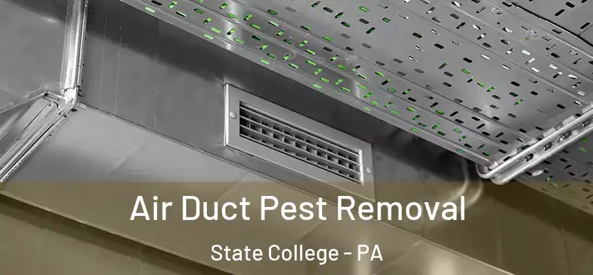  Air Duct Pest Removal State College - PA