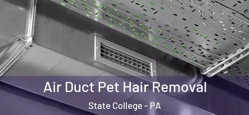 Air Duct Pet Hair Removal State College - PA