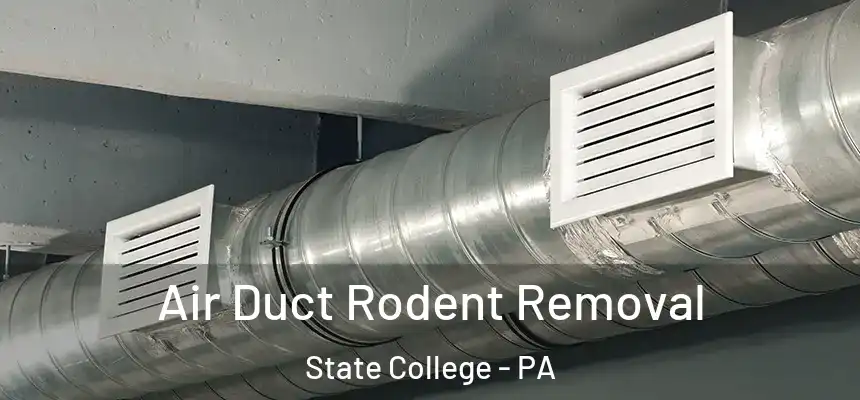  Air Duct Rodent Removal State College - PA