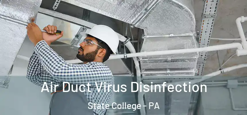  Air Duct Virus Disinfection State College - PA