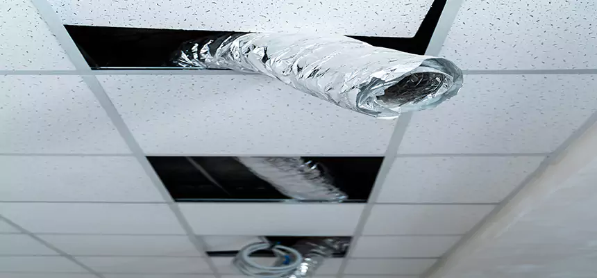 Our Air Duct Pet Hair Removal Services in State College, PA