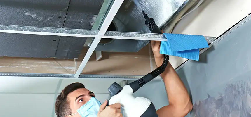 Our Air Duct Rodent Removal Services in State College, PA