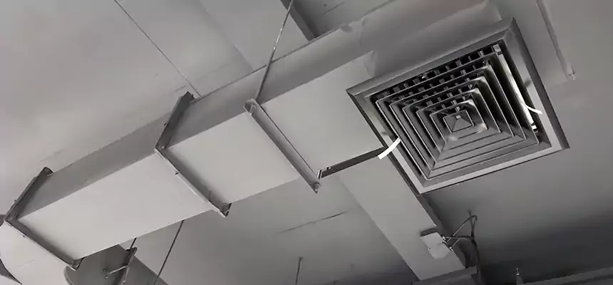 Restorative Allergy Relief Vent Cleaning – Coil, Blower & Housing Detail in State College