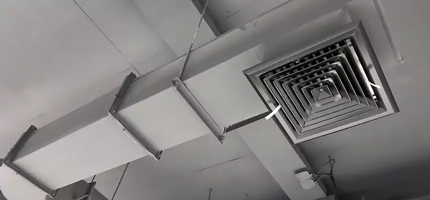 Our Pest Removal From Ducts Services in State College, PA