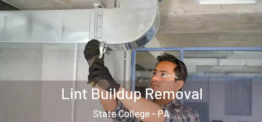  Lint Buildup Removal State College - PA