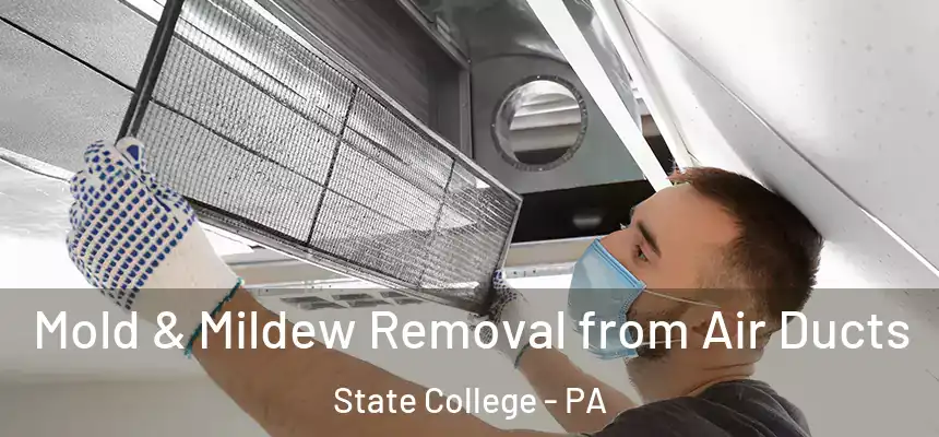  Mold & Mildew Removal from Air Ducts State College - PA
