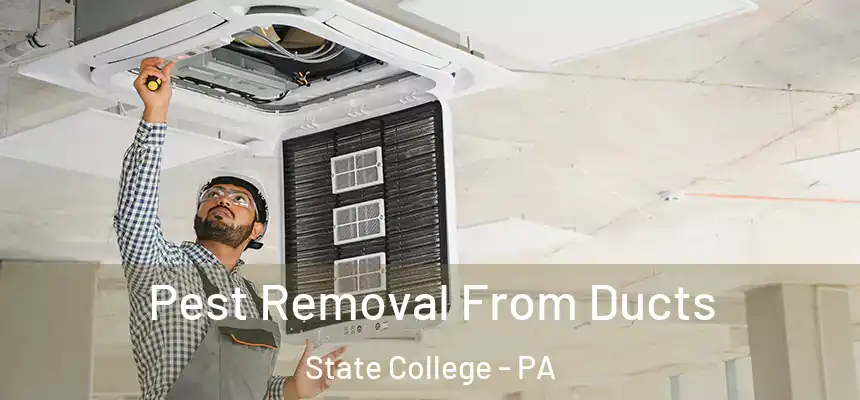 Pest Removal From Ducts State College - PA