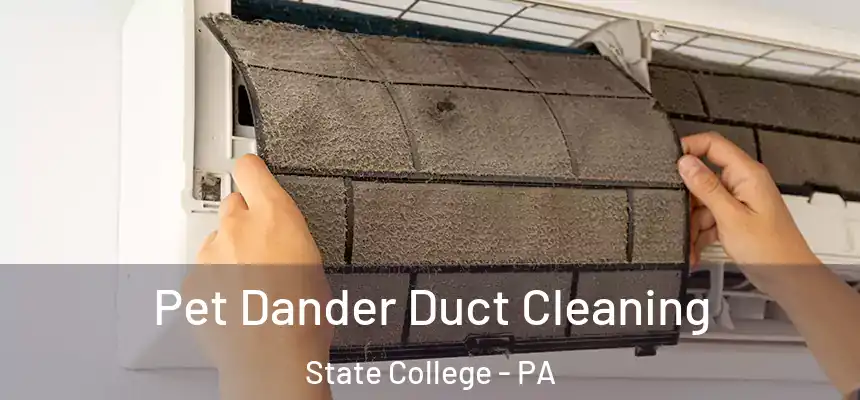  Pet Dander Duct Cleaning State College - PA