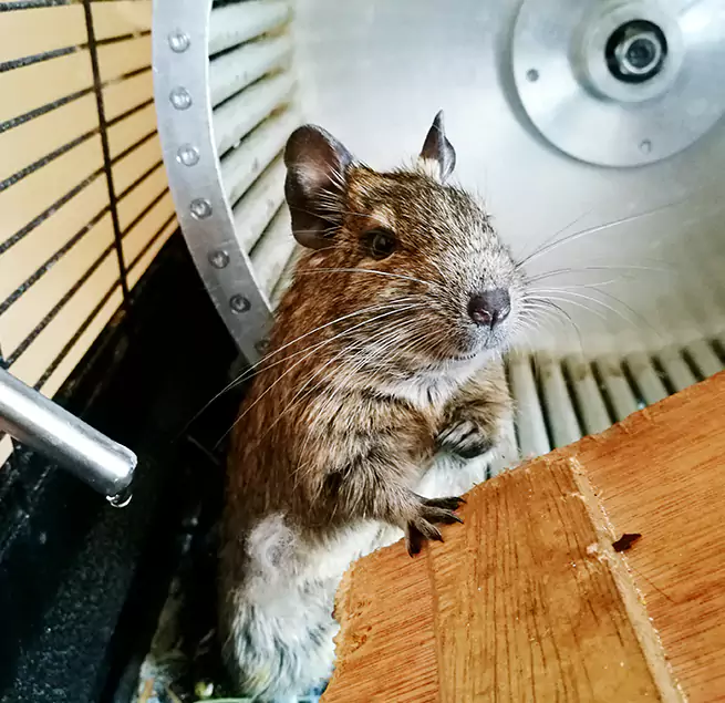 Why Homeowners & Businesses Trust Us State College, PA?